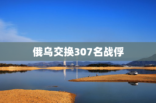 俄乌交换307名战俘