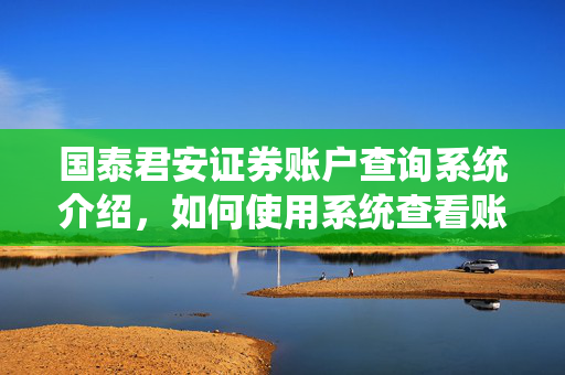 国泰君安证券账户查询系统介绍，如何使用系统查看账户详情