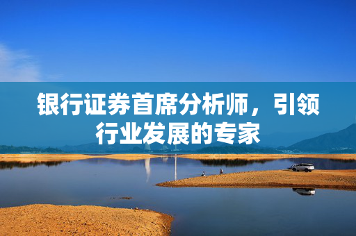 银行证券首席分析师，引领行业发展的专家
