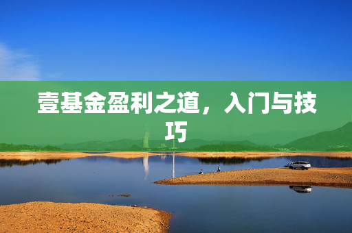 壹基金盈利之道，入门与技巧
