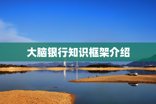 大脑银行知识框架介绍