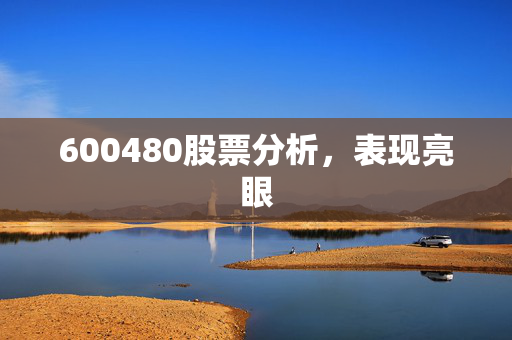 600480股票分析，表现亮眼