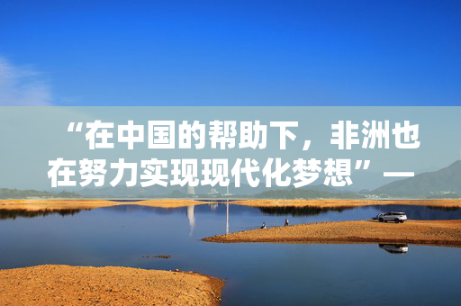 “在中国的帮助下，非洲也在努力实现现代化梦想”——访尼日利亚尼中全面战略伙伴关系总干事特格贝