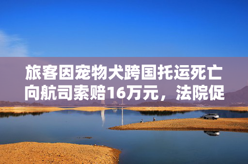 旅客因宠物犬跨国托运死亡向航司索赔16万元，法院促成调解