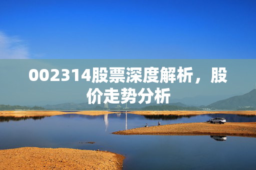 002314股票深度解析，股价走势分析
