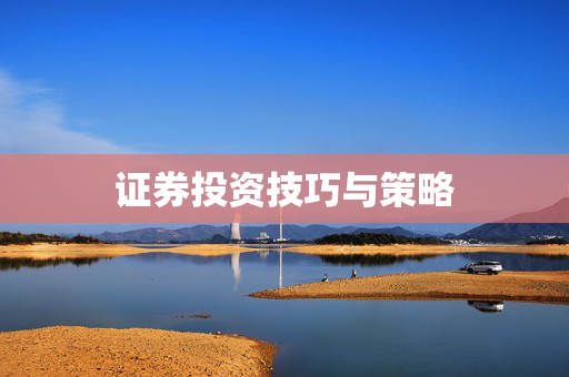 证券投资技巧与策略