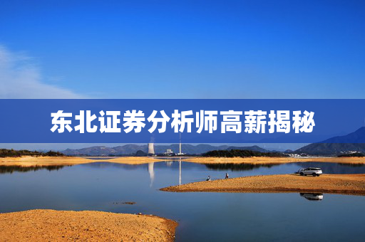 东北证券分析师高薪揭秘