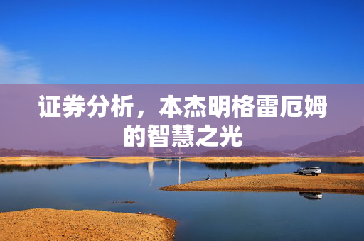证券分析，本杰明格雷厄姆的智慧之光