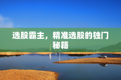 精准选股秘籍