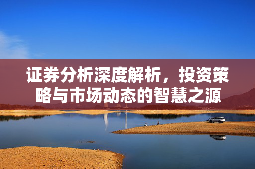 证券分析深度解析，投资策略与市场动态的智慧之源