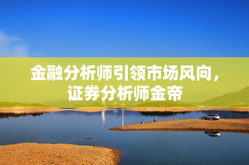 金融分析师引领市场风向，证券分析师金帝