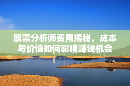 股票分析师费用揭秘，成本与价值如何影响赚钱机会