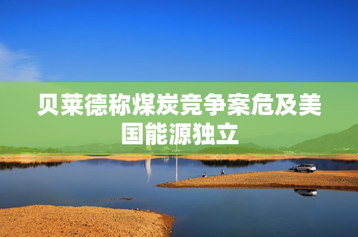 贝莱德称煤炭竞争案危及美国能源独立