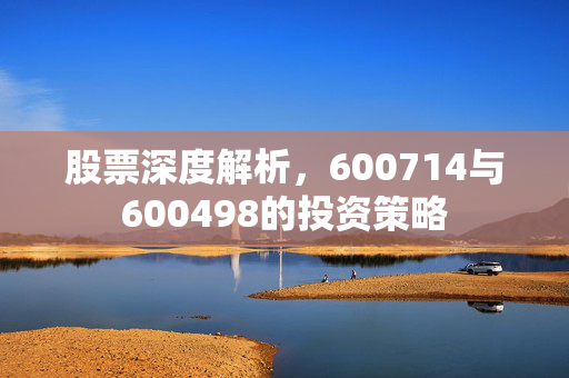 股票深度解析，600714与600498的投资策略