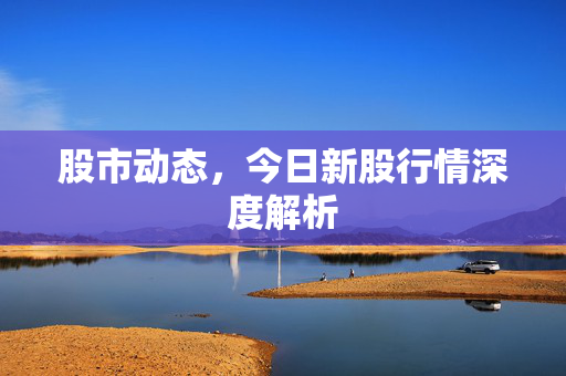 股市动态，今日新股行情深度解析