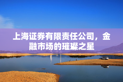 上海证券有限责任公司，金融市场的璀璨之星