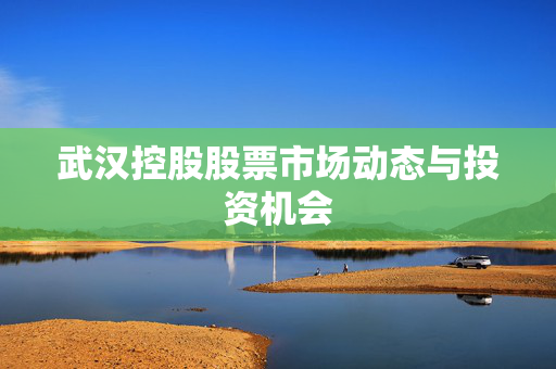 武汉控股股票市场动态与投资机会