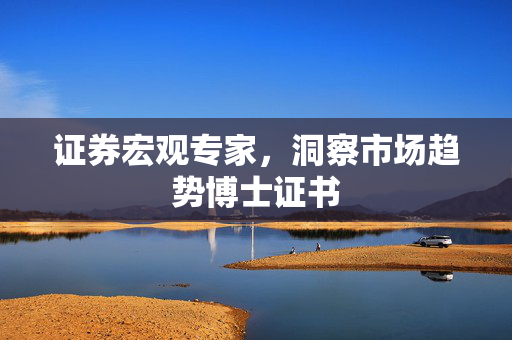 证券宏观专家，洞察市场趋势博士证书