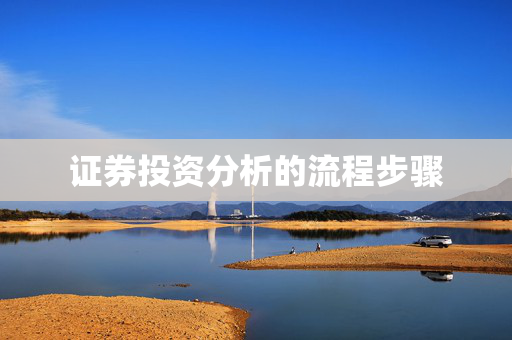 证券投资分析的流程步骤