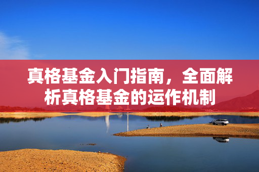 真格基金入门指南，全面解析真格基金的运作机制