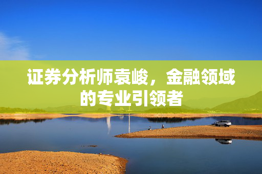证券分析师袁峻，金融领域的专业引领者