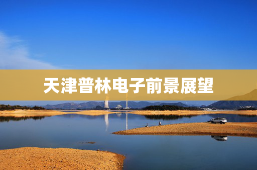 天津普林电子前景展望
