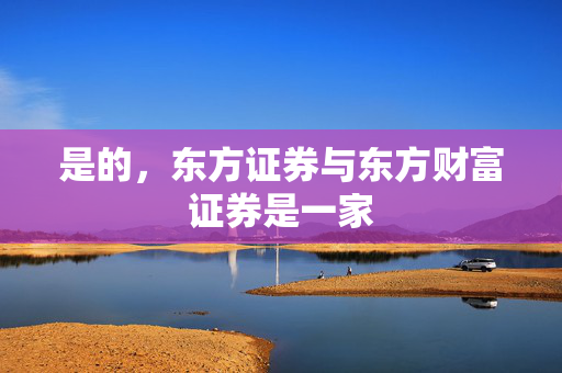 是的，东方证券与东方财富证券是一家