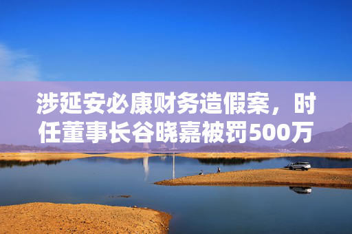 涉延安必康财务造假案，时任董事长谷晓嘉被罚500万元、十年市场禁入
