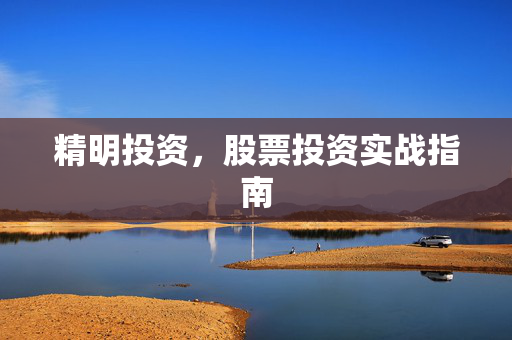 精明投资，股票投资实战指南