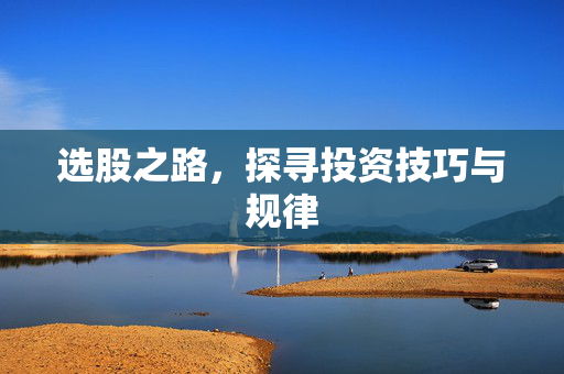 选股之路，探寻投资技巧与规律
