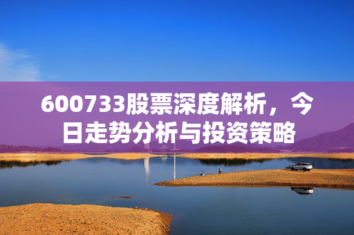 600733股票深度解析，今日走势分析与投资策略