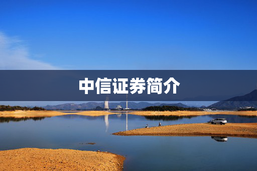 中信证券简介