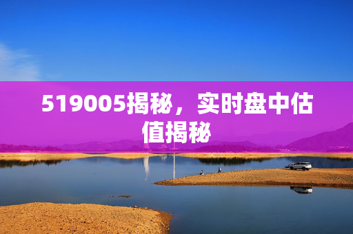 519005揭秘，实时盘中估值揭秘