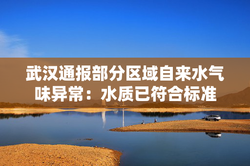武汉通报部分区域自来水气味异常：水质已符合标准