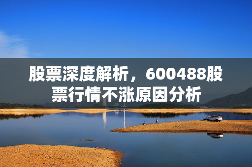 股票深度解析，600488股票行情不涨原因分析