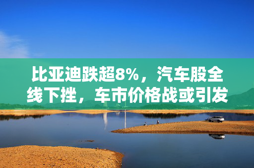 比亚迪跌超8%，汽车股全线下挫，车市价格战或引发市场担忧