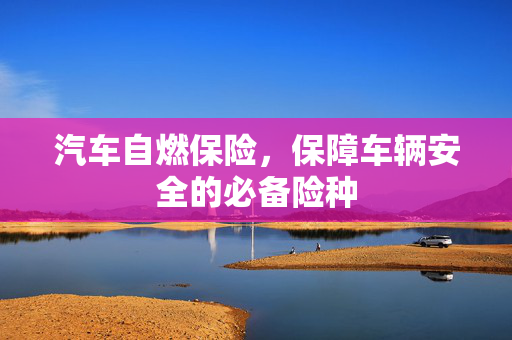 汽车自燃保险，保障车辆安全的必备险种