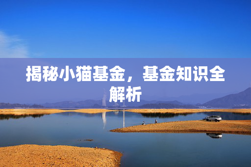 揭秘小猫基金，基金知识全解析