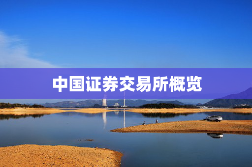 中国证券交易所概览