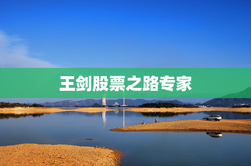 王剑股票之路专家