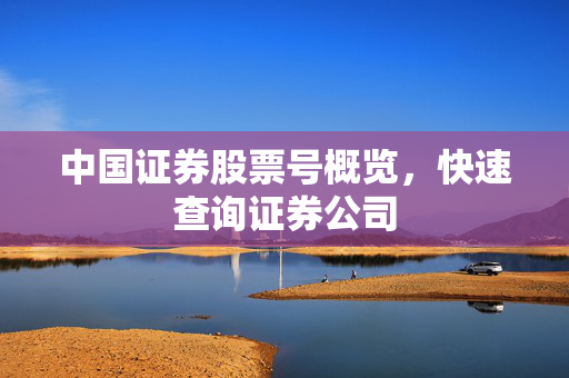 中国证券股票号概览，快速查询证券公司