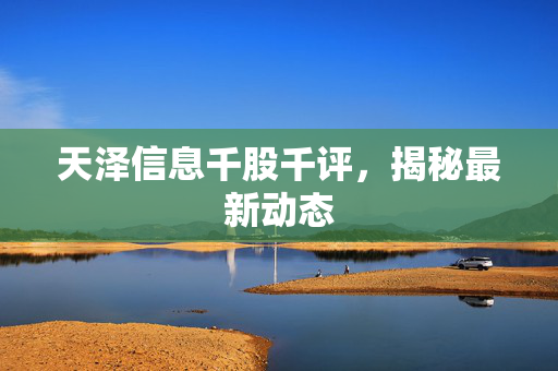 天泽信息千股千评，揭秘最新动态