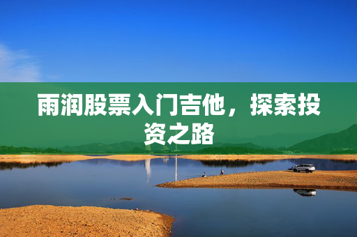 雨润股票入门吉他，探索投资之路