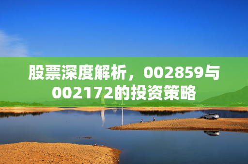 股票深度解析，002859与002172的投资策略