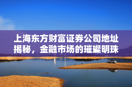 上海东方财富证券公司地址揭秘，金融市场的璀璨明珠