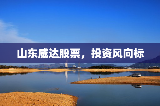 山东威达股票，投资风向标