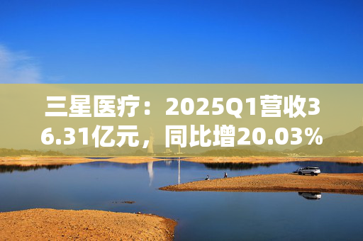 三星医疗：2025Q1营收36.31亿元，同比增20.03%