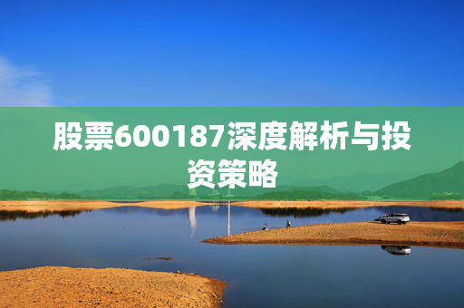 股票600187深度解析与投资策略