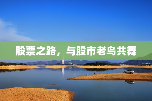 股票之路，与股市老鸟共舞