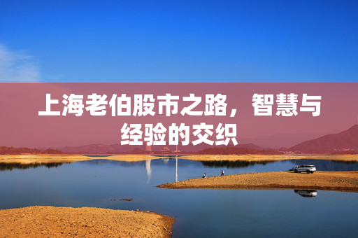 上海老伯股市之路，智慧与经验的交织